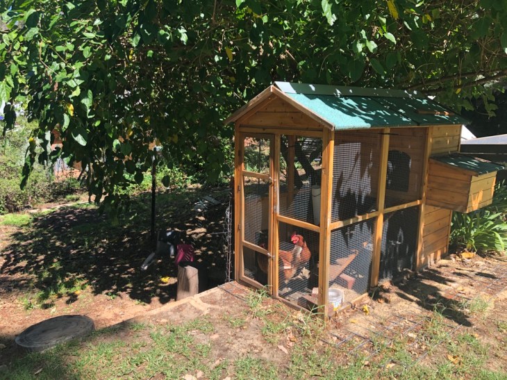 UNADJUSTEDNONRAW_thumb_105b